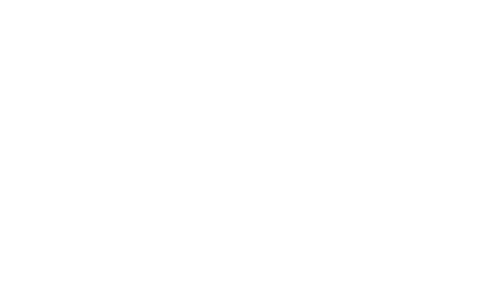 Seavion Shipping Line